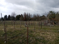 Минсельхоз продолжает инспектировать районы