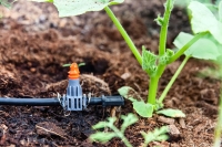 Министерство сельского хозяйства  объявляет открытый конкурс